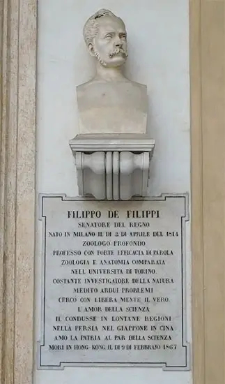 Busto di Filippo De Filippi nel loggiato del palazzo dell’Università di Torino (opera di Giacomo de Barbieri, 1868).