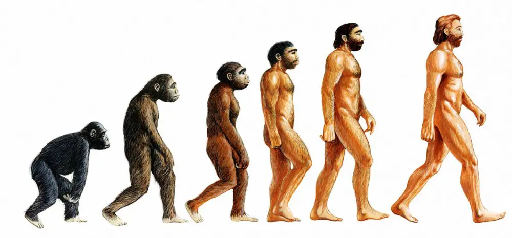 Filippo de Filippi e l’evoluzione della specie
