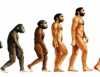 Filippo de Filippi e l’evoluzione della specie