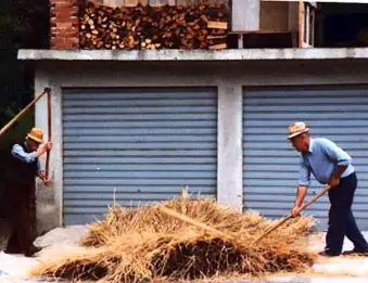 La lingua e la cultura materiale delle minoranze galloromanze in Piemonte