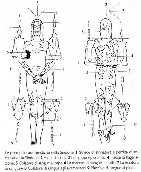 Un disegno che riassume le principali caratteristiche della Sindone.