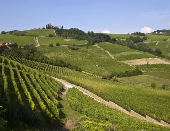 Le Langhe, patrimonio dell'umanità