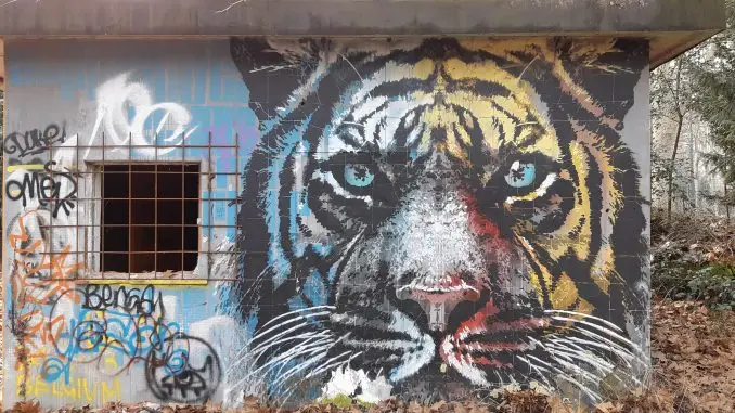 Uno dei murales presenti al Parco Michelotti di Torino.