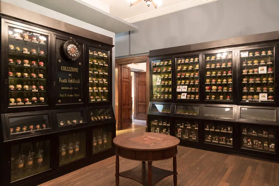 Sala interna del Museo della Frutta (Foto © Museo della Frutta