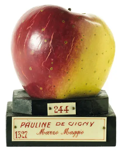 Foto © Museo della Frutta