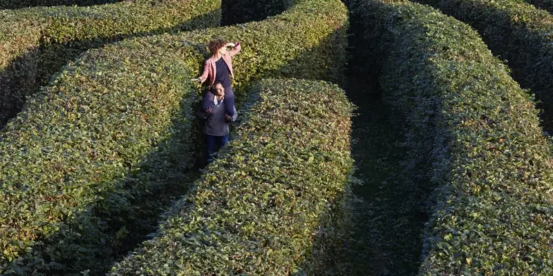 Il labirinto al Castello di Masino (© FAI - Fondo Ambiente Italiano)
