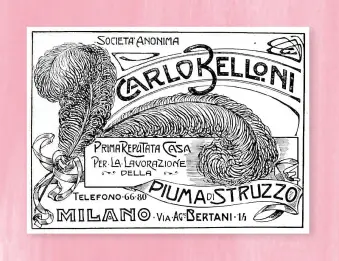 Ipnosi, ortotteri e piume di struzzo