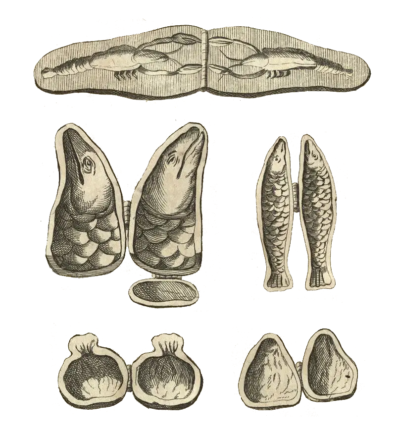 Alcuni