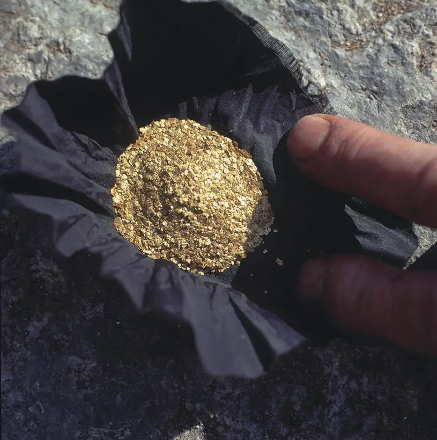 Il frutto di anni di ricerca e raccolta di pagliuzze d’oro nel Biellese (© Associazione cercatori d’oro biellesi).