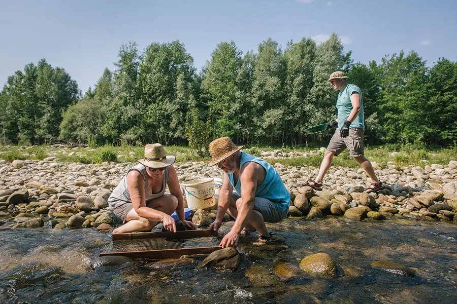 Cercatori d’oro in azione sul fiume Elvo, uno dei corsi d’acqua più battuti per la ricerca dell’oro in Piemonte (© Associazione cercatori d’oro biellesi, foto di Gianni Cipriano).