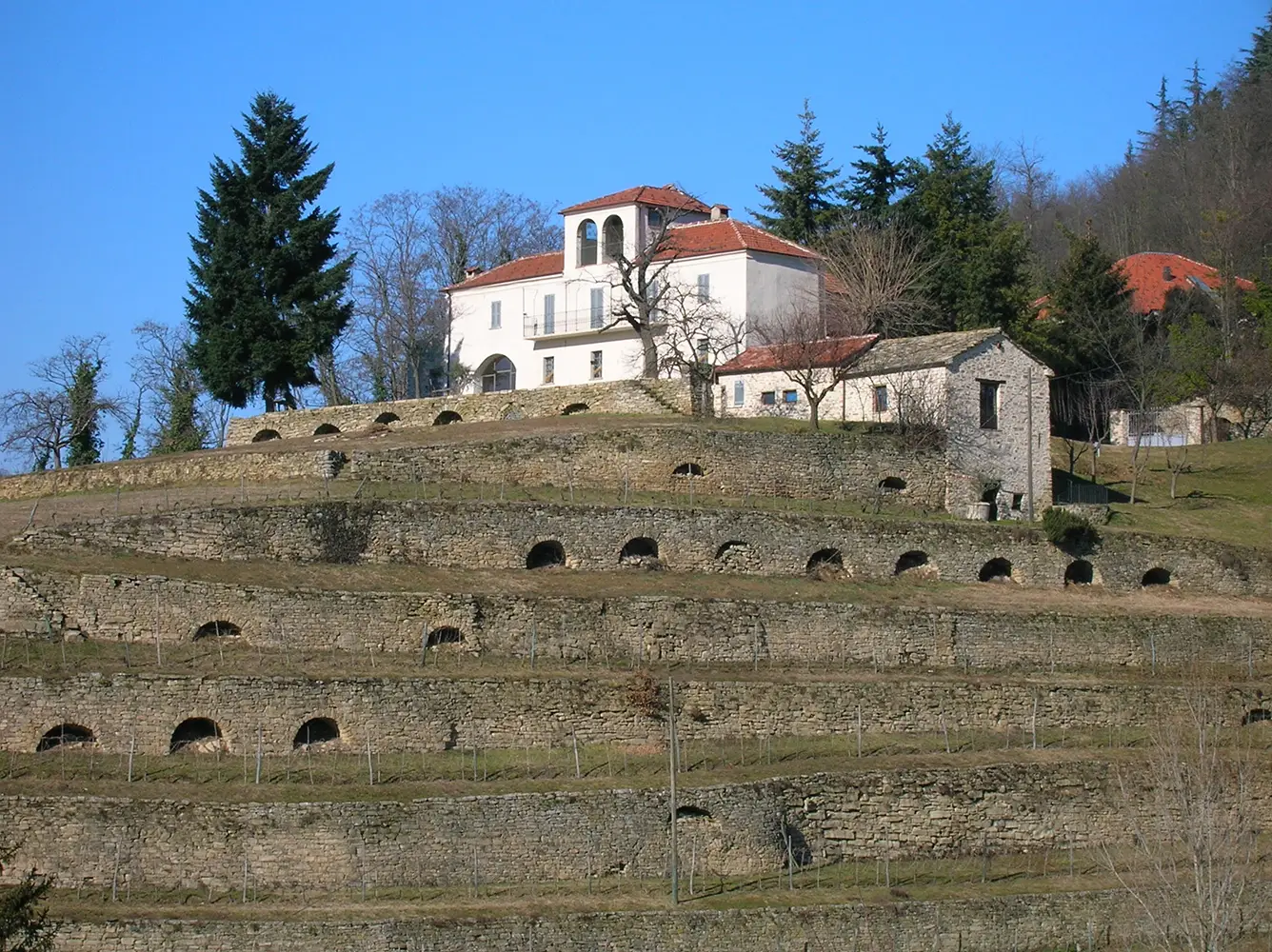 Paesaggio terrazzato a Monteoliveto.