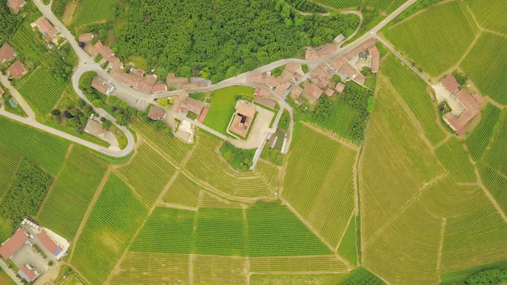 Foto aerea del borgo di Grinzane Cavour con il suo sviluppo monoassiale sul crinale dei vigneti.