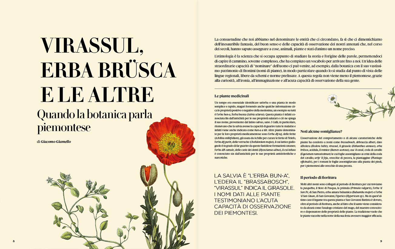 Anteprima Rivista Savej #1