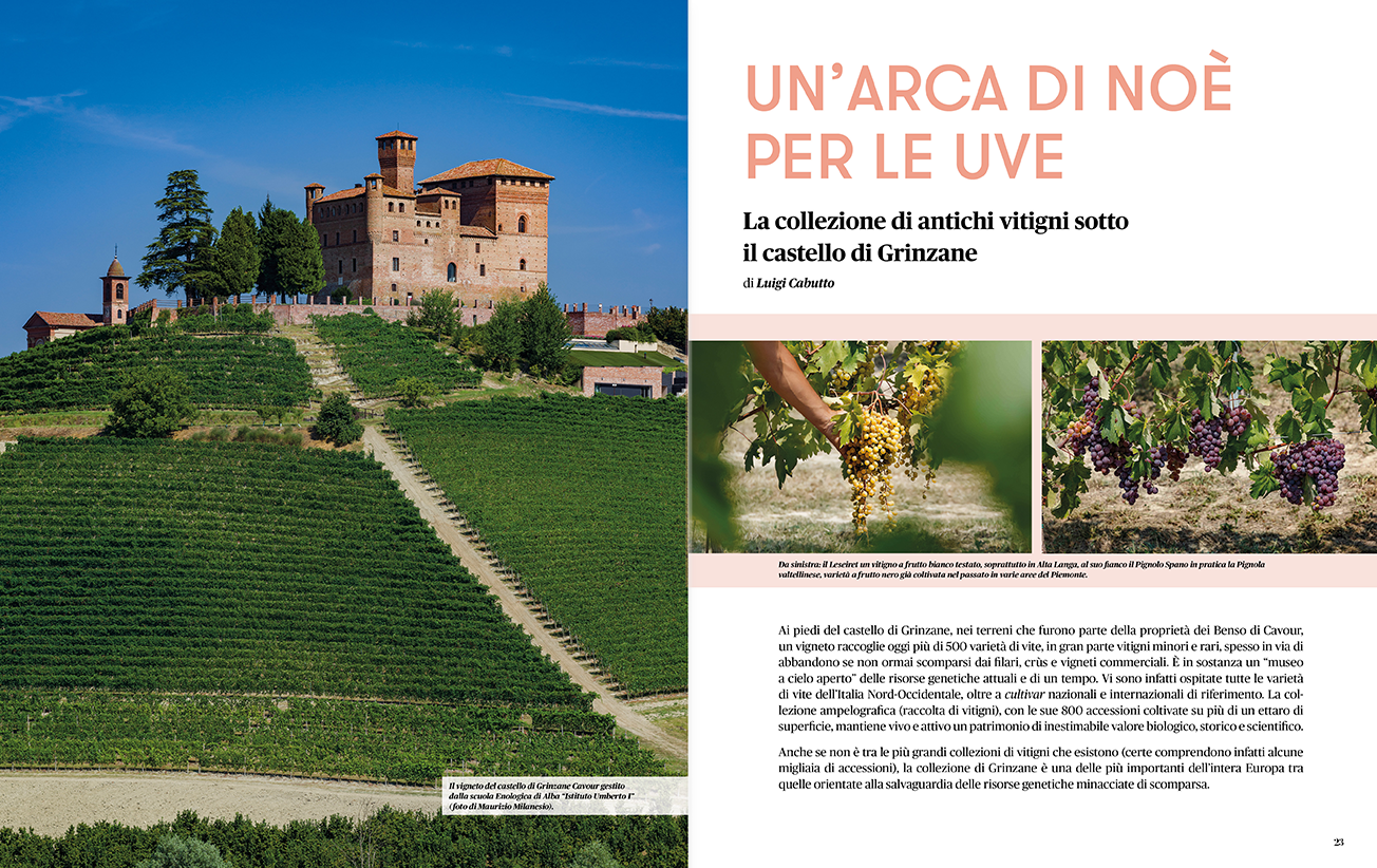 Anteprima Rivista Savej #13