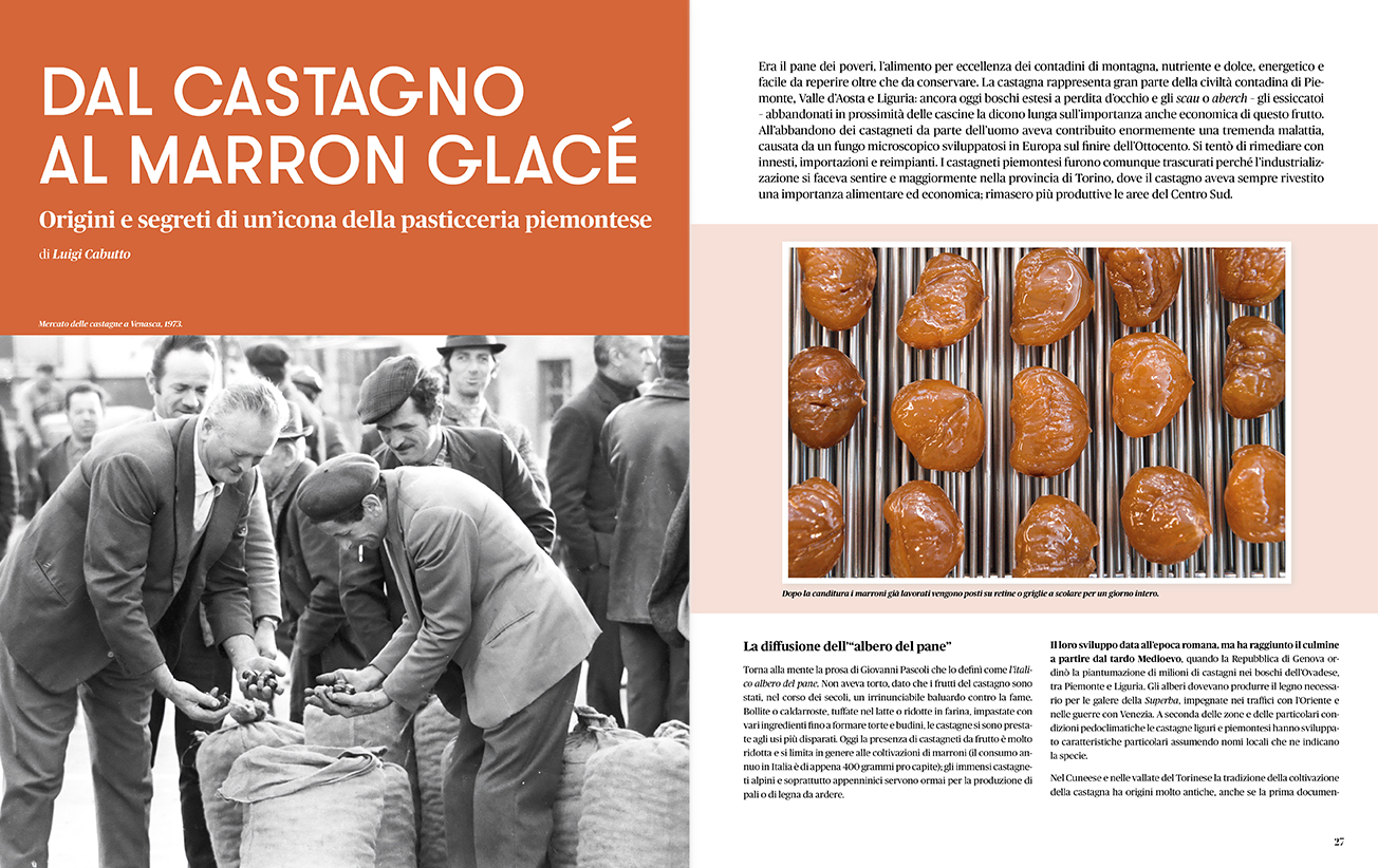 Anteprima Rivista Savej #14