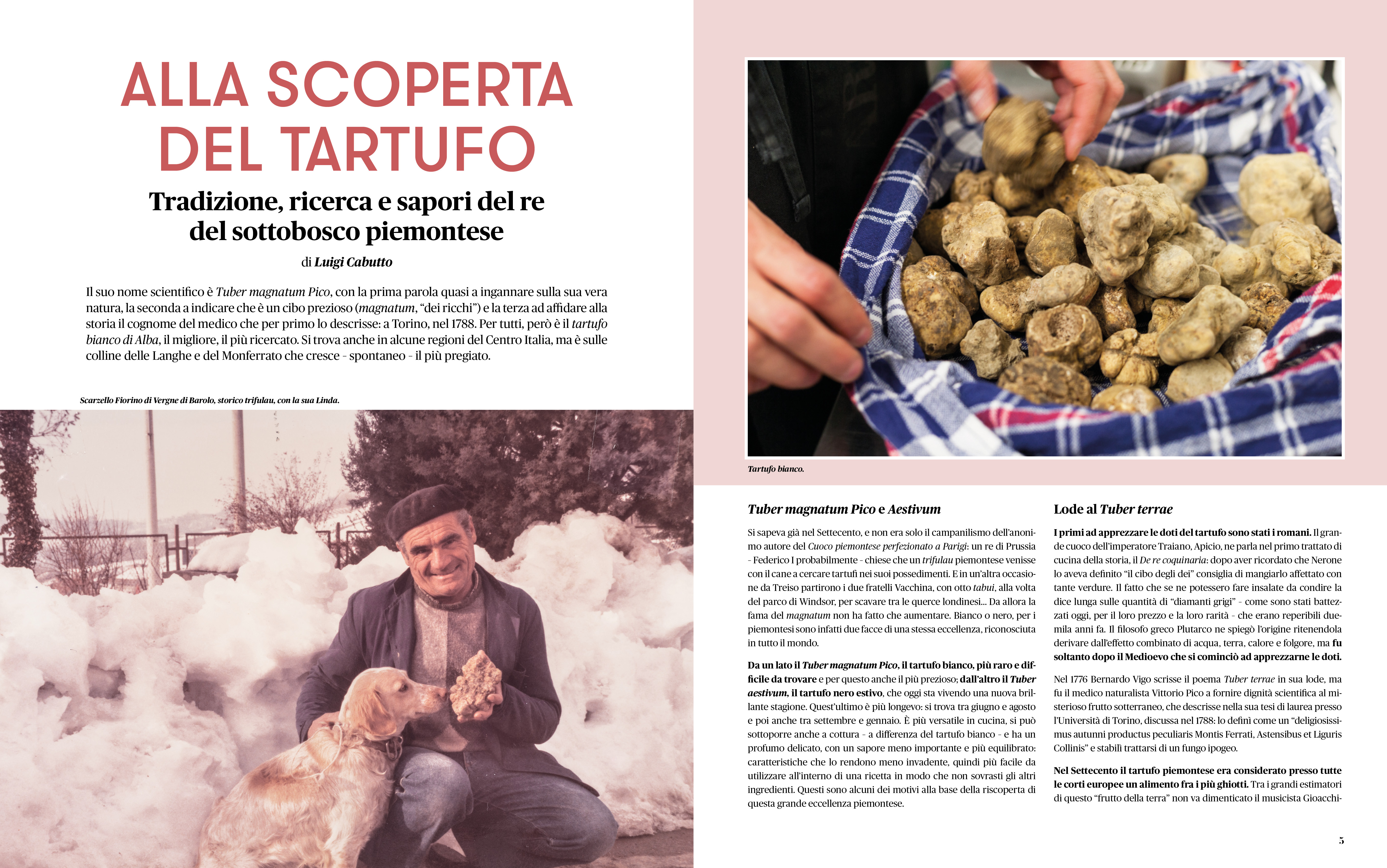 Anteprima Rivista Savej #17