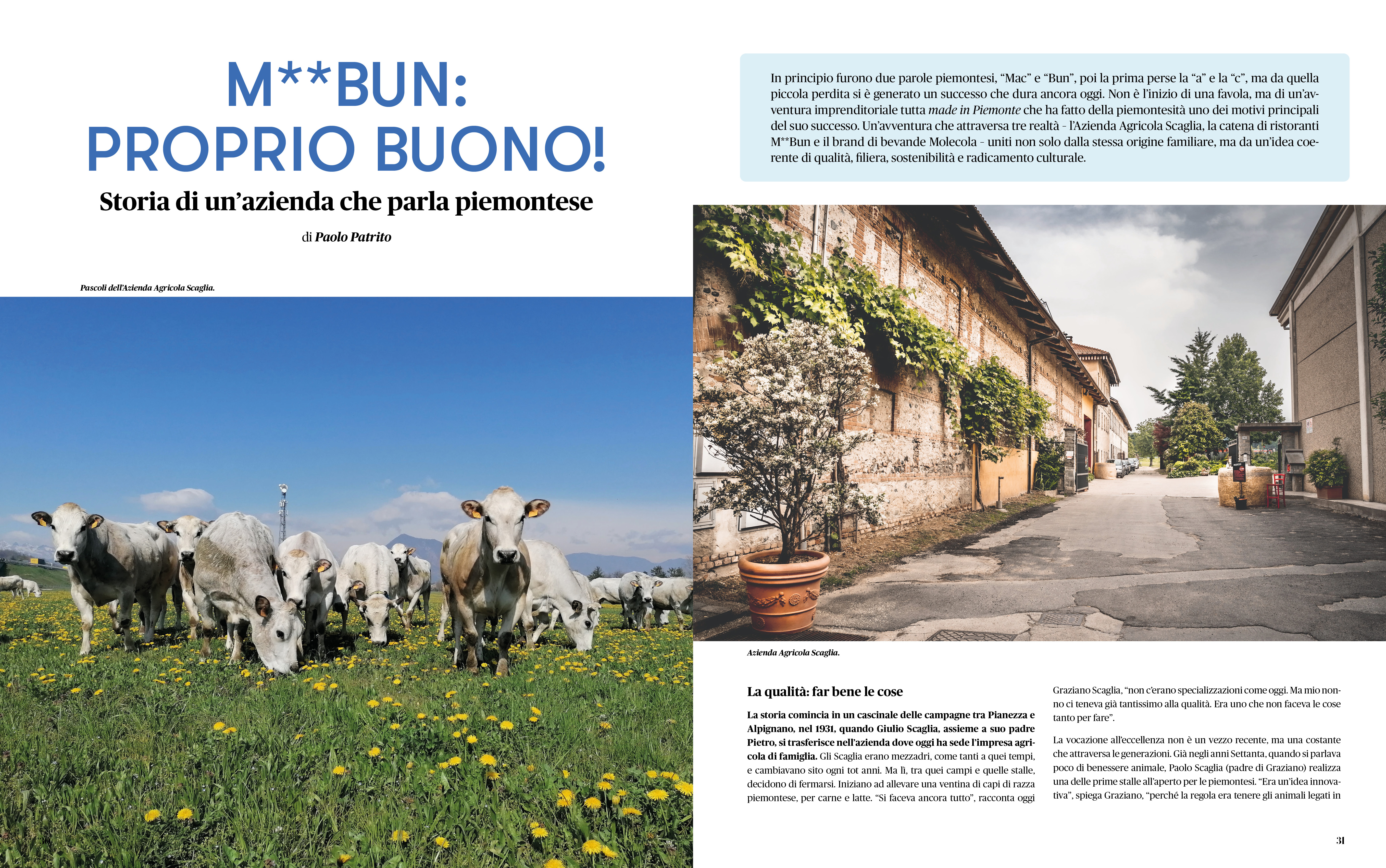 Anteprima Rivista Savej #17
