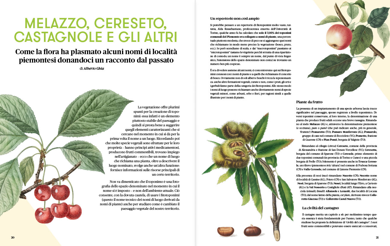 Anteprima Rivista Savej #6
