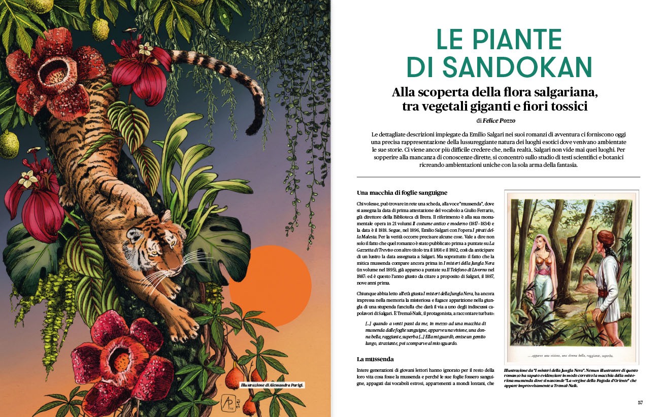 Anteprima Rivista Savej #6