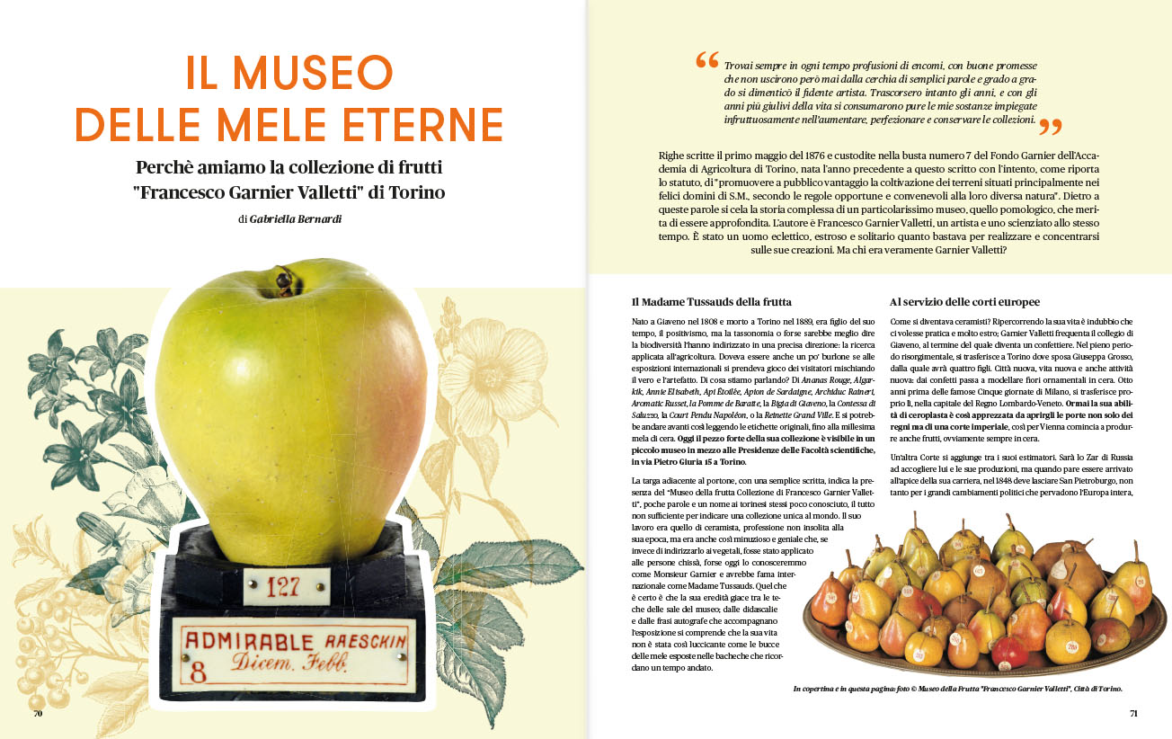 Anteprima Rivista Savej #6