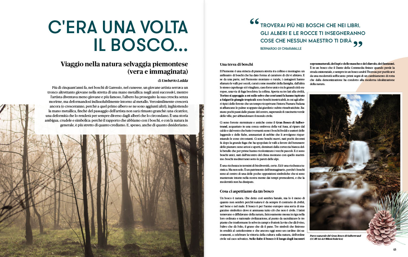 Anteprima Rivista Savej #6