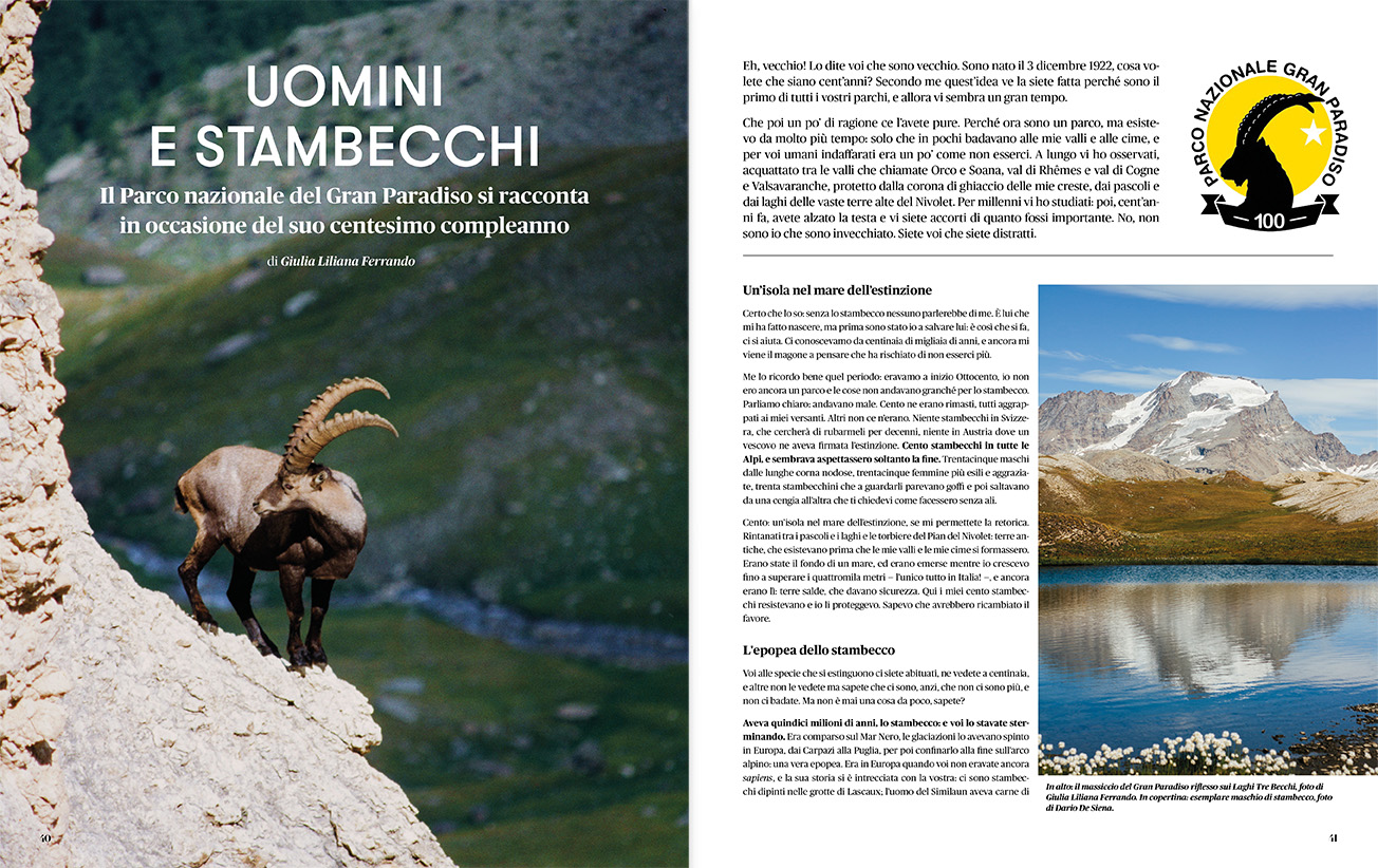 Anteprima Rivista Savej #8