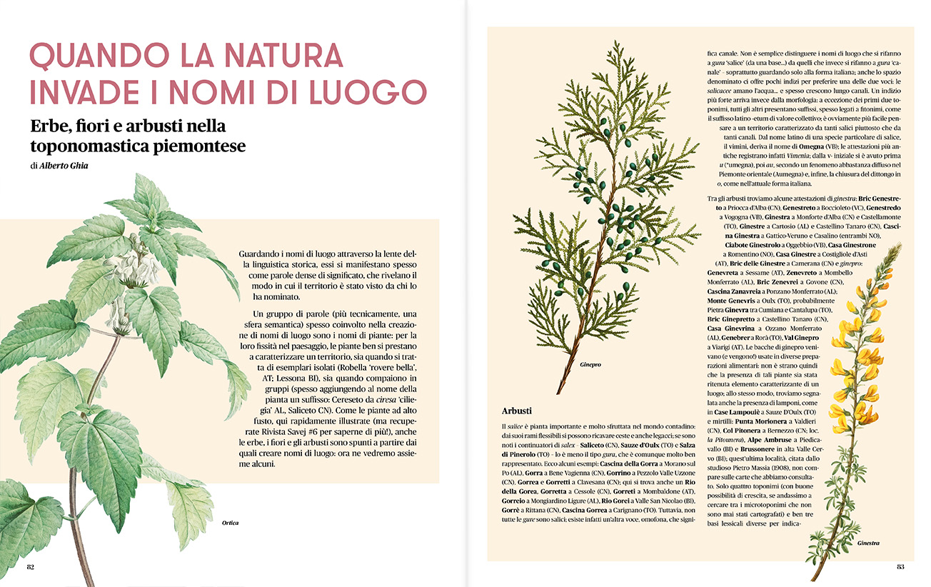 Anteprima Rivista Savej #9