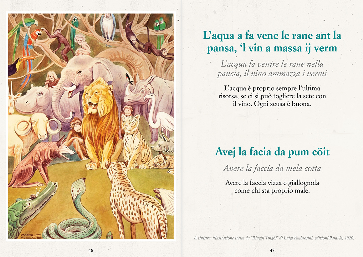 Anteprima Savejla pi lunga